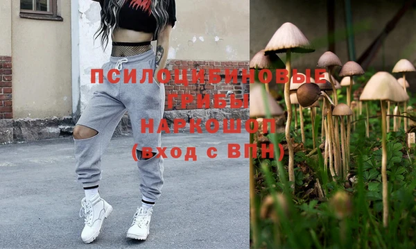 гидропоника Беломорск