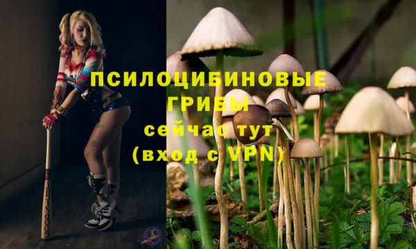гидропоника Беломорск