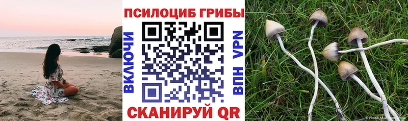 Галлюциногенные грибы ЛСД это Telegram Нововоронеж mega
